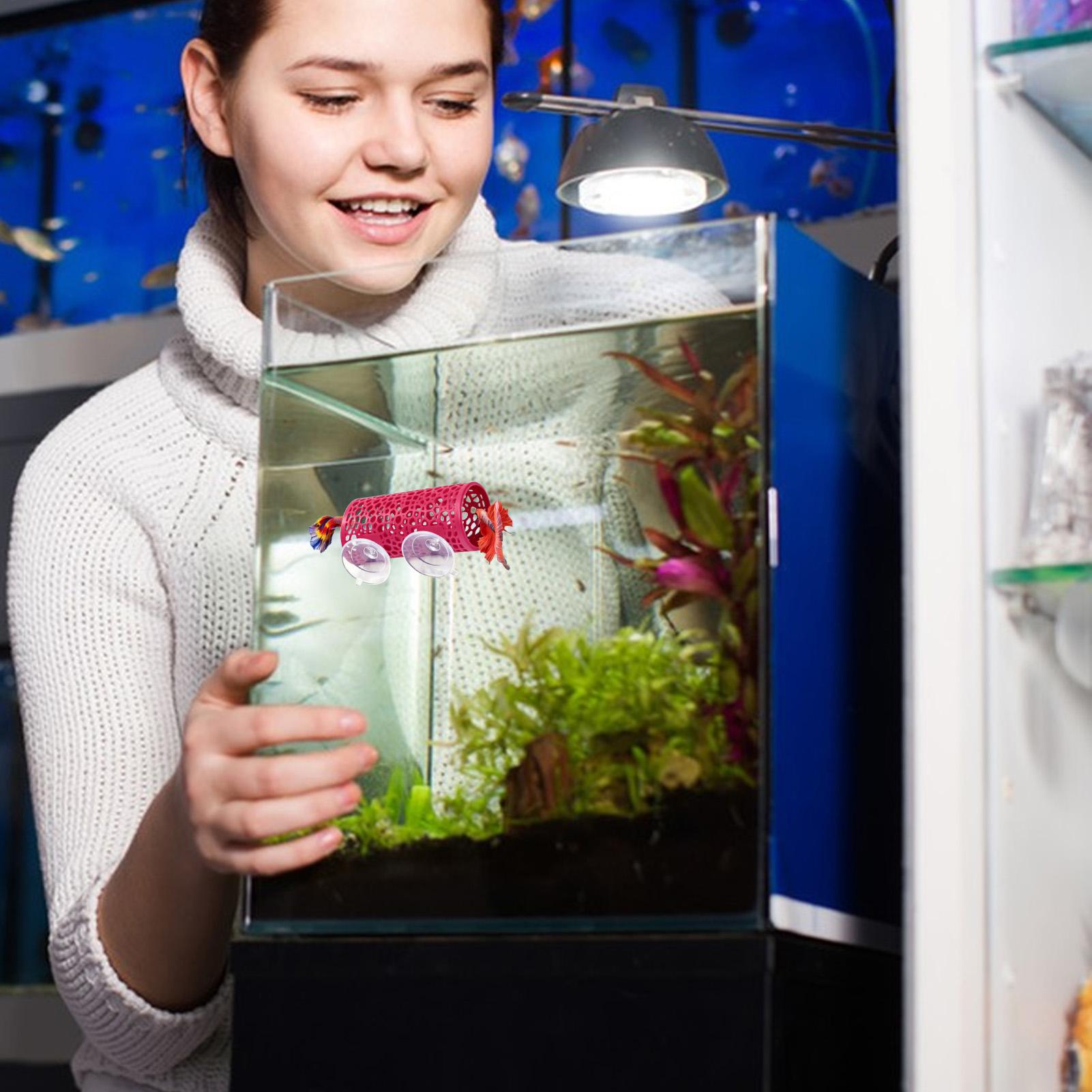 Aquarium Fish Youtube - 베타 생태 환경 휴식처 장식품 물고기