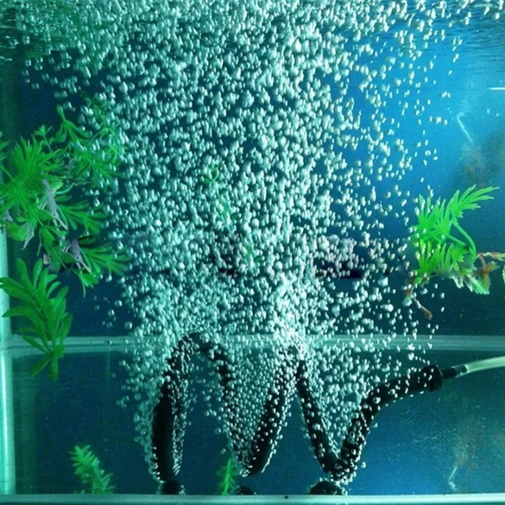 어항 버블바 고무 조경 버블 튜브 산소펌프 산소공급 자 - Aquarium Fish Youtube 리뷰 및 가격