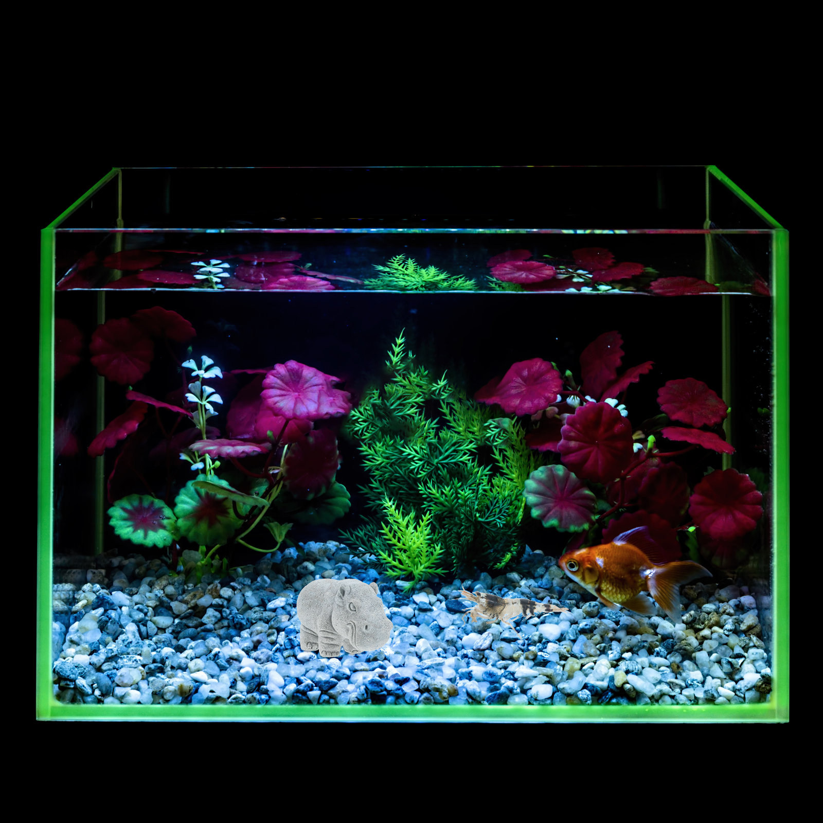 독특한 돌 하마 장식품 어항용 작은 돌 장식품 퇴색 및 - Aquarium Fish Unique 리뷰 및 가격