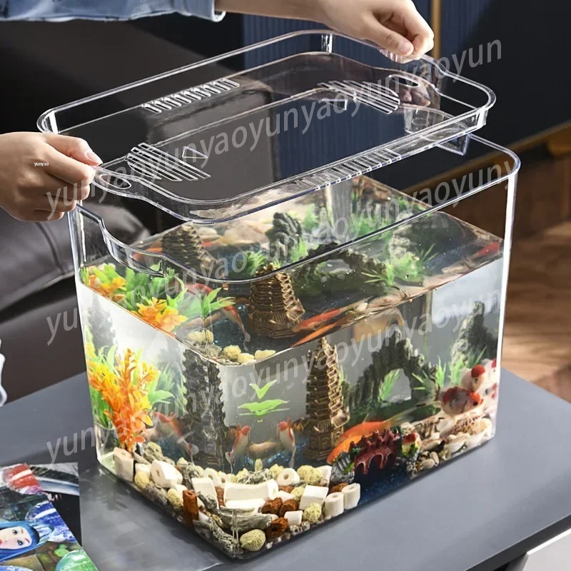 투명 플라스틱 미니 어류 사육 수족관, 교체 부품이 없 - Aquarium Fish Unique 리뷰 및 가격
