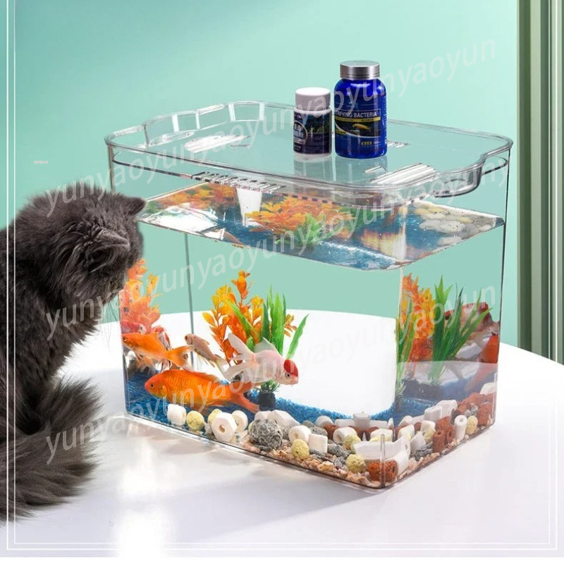투명 플라스틱 미니 어류 사육 수족관, 교체 부품이 없 - Aquarium Fish Unique 리뷰 및 가격