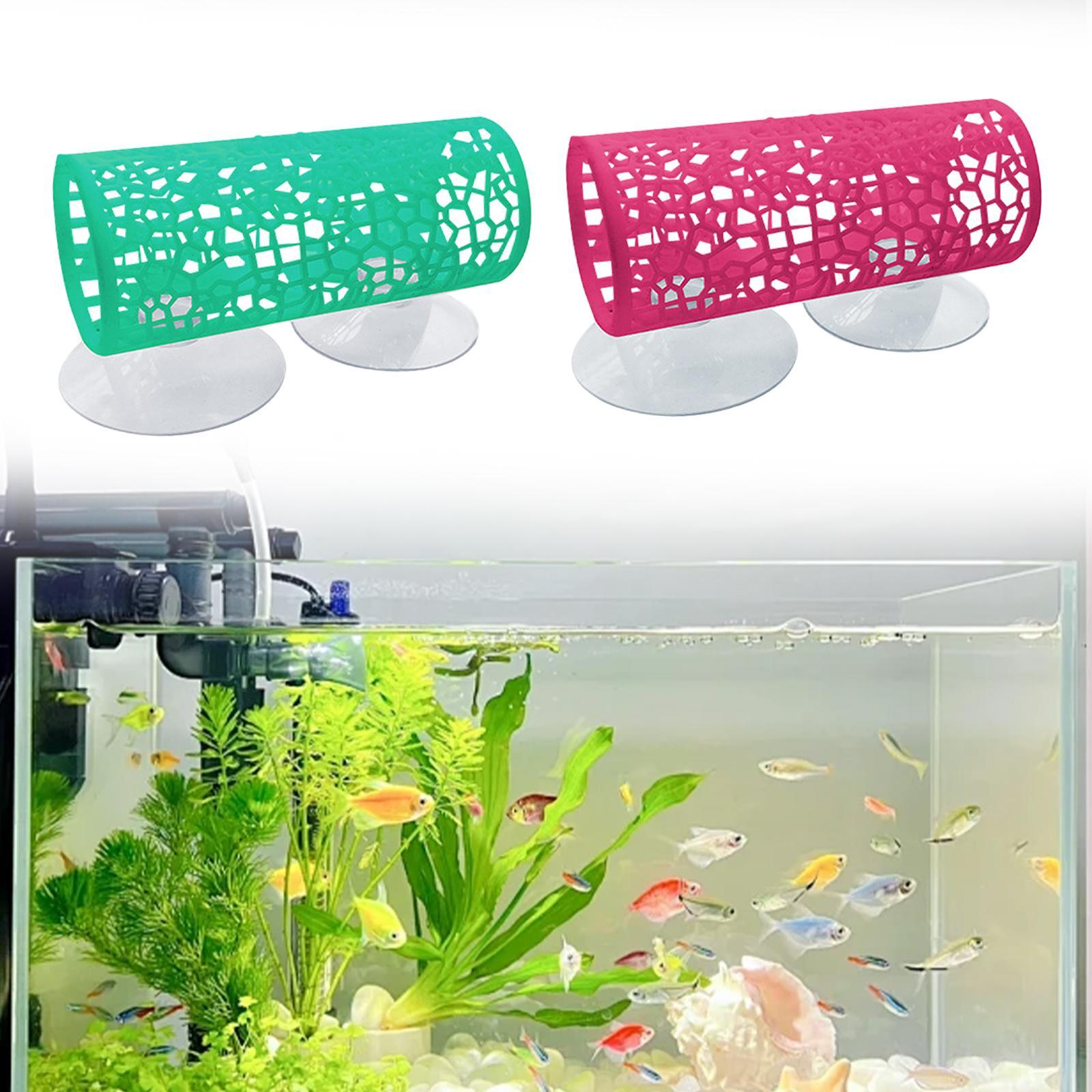 베타 - 터널 - 은신처, 베타 물고기 장난감, 연료  - Aquarium Fisch 리뷰 및 가격