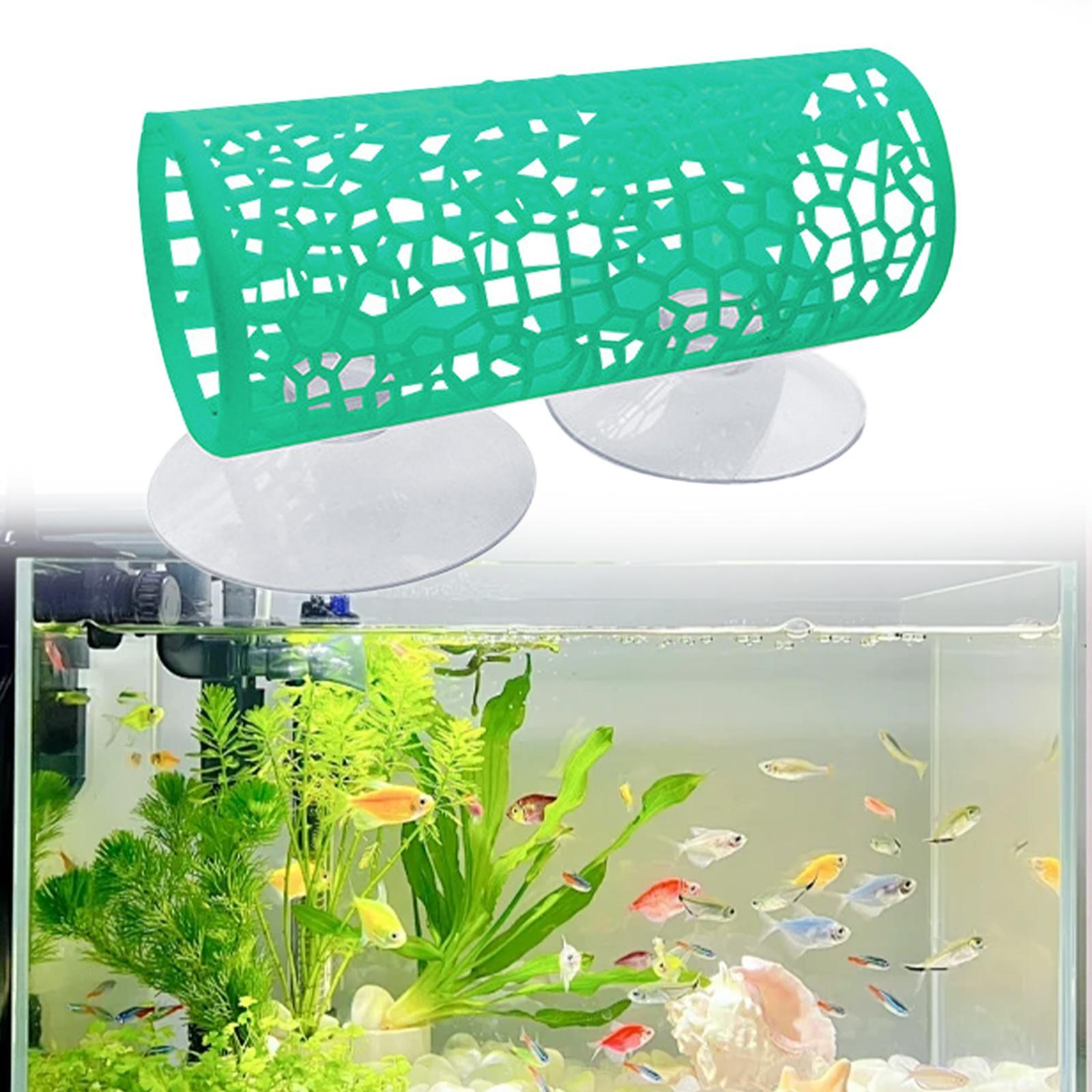 베타 - 터널 - 은신처, 베타 물고기 장난감, 연료  - Aquarium Fisch 리뷰 및 가격