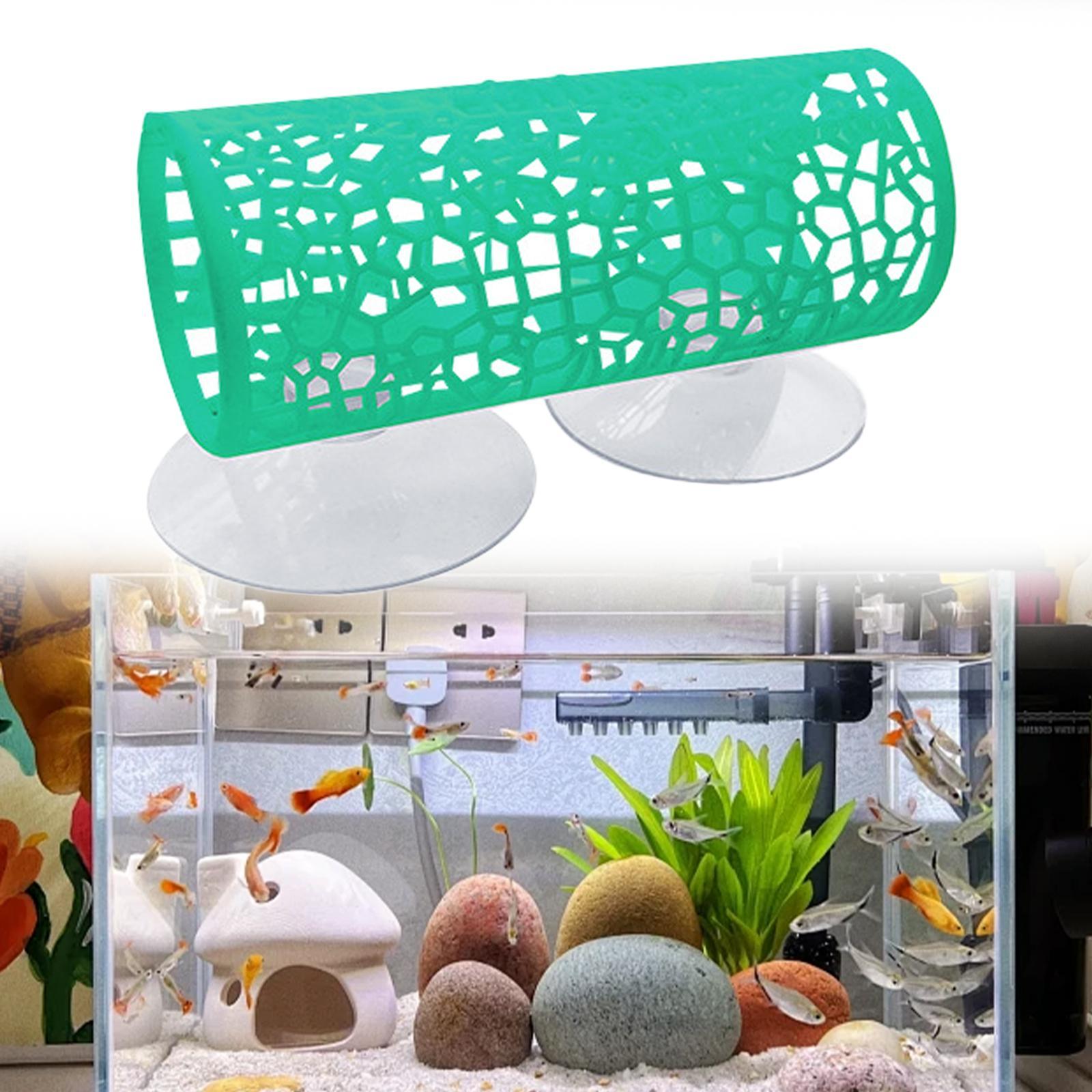 베타 - 터널 - 은신처, 베타 물고기 장난감, 연료  - Aquarium Fisch 리뷰 및 가격