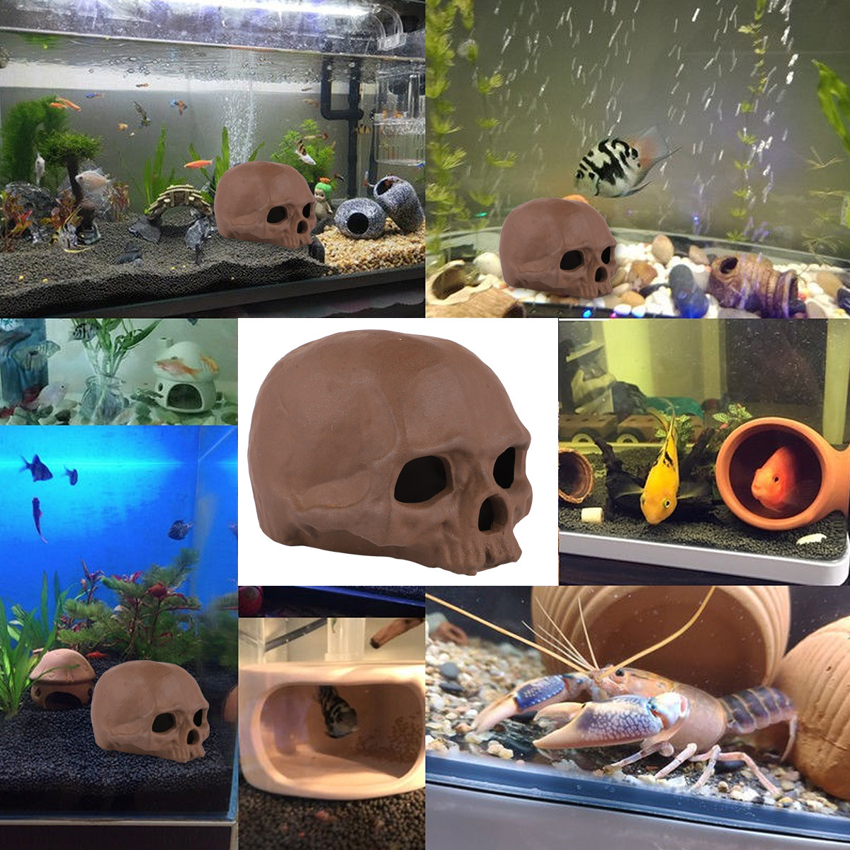해골 디자인 수족관 장식품 도자기 장식 독특한 어항 장 - Aquarium Fish Unique 리뷰 및 가격