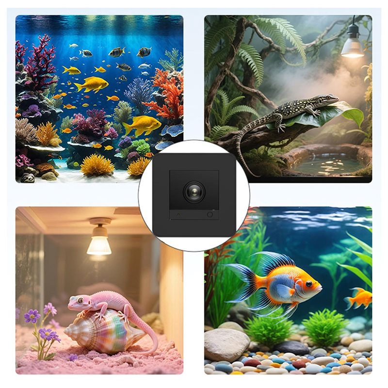 【가격 인하!】 !】어항 카메라 어항 카메라 2K HD - Aquarium Fish And Price 리뷰 및 가격